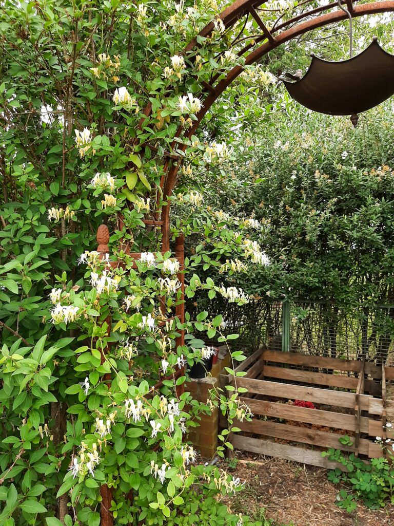 Man sieht einen gußeisernen Bogen, an dem eine Kletterpflanze blüht. Im Hintergrund sieht man mehrere Komposte.